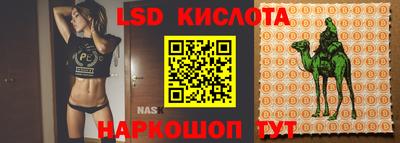 мдпв Гусев