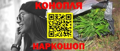 мдпв Гусев