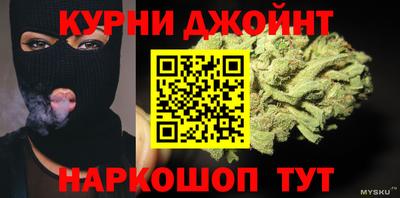 мдпв Гусев